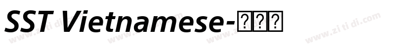 SST Vietnamese字体转换